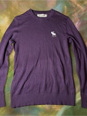 abercrombie & fitch purple long sleeve sweater